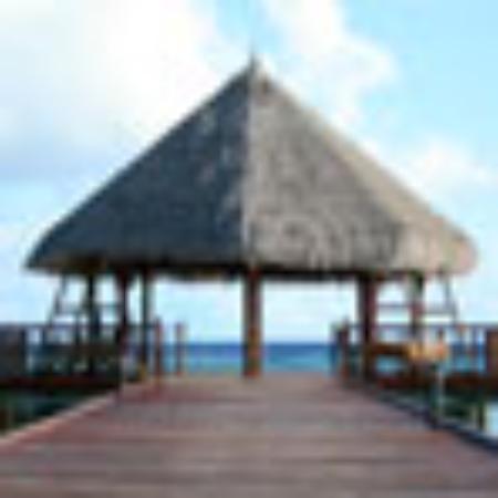 Triveni Darshan Hotel Restaurant